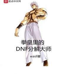 拳皇里的DNF分解大师小说封面